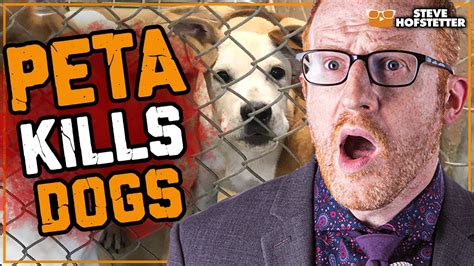 why is peta still around